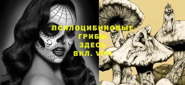 стафф Горнозаводск
