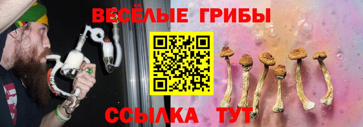 Псилоцибиновые грибы Magic Shrooms  даркнет сайт  Городец  Вход с VPN 